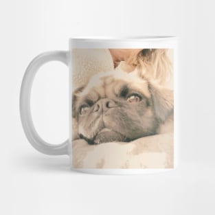 Pug Mug